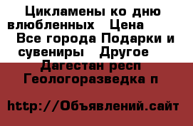 Цикламены ко дню влюбленных › Цена ­ 180 - Все города Подарки и сувениры » Другое   . Дагестан респ.,Геологоразведка п.